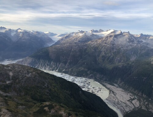 The Tongass National Forest, a national treasure worth more than timber