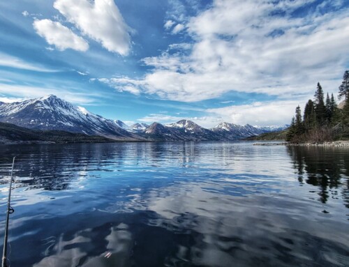 Fish This!   – The Great Sea