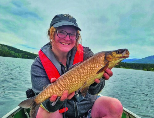 Fish This!  Seeds of Survival