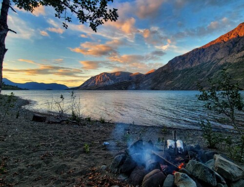 Fish This – When the wind blows