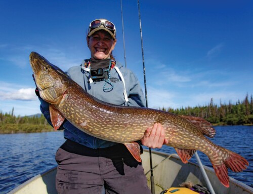 Slough Shark  Madness