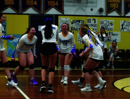 Panthers pounce on the VB court